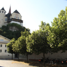 IMG_1723.jpg