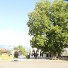 IMG_1703.jpg