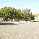 IMG_1704.jpg