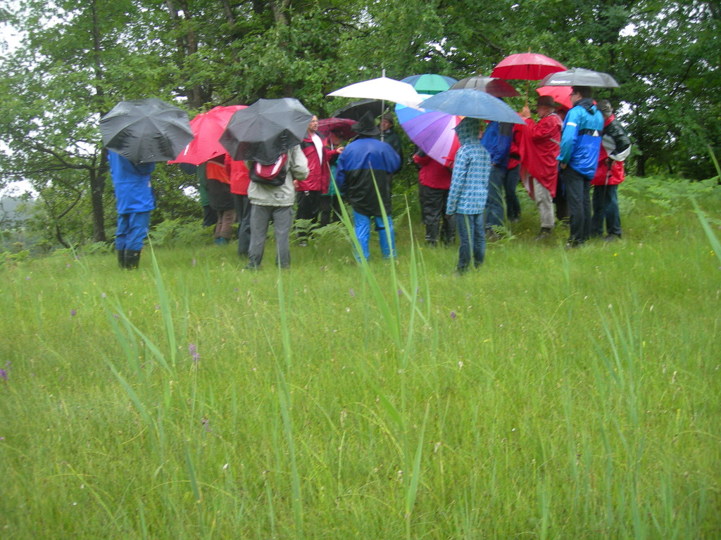 DSCN5412.JPG