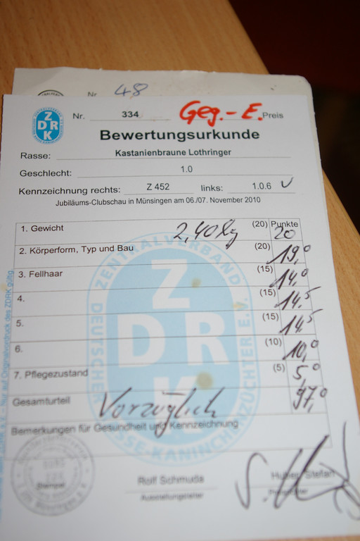 bea_RKZV_Satteins 002_jpg-1308428528