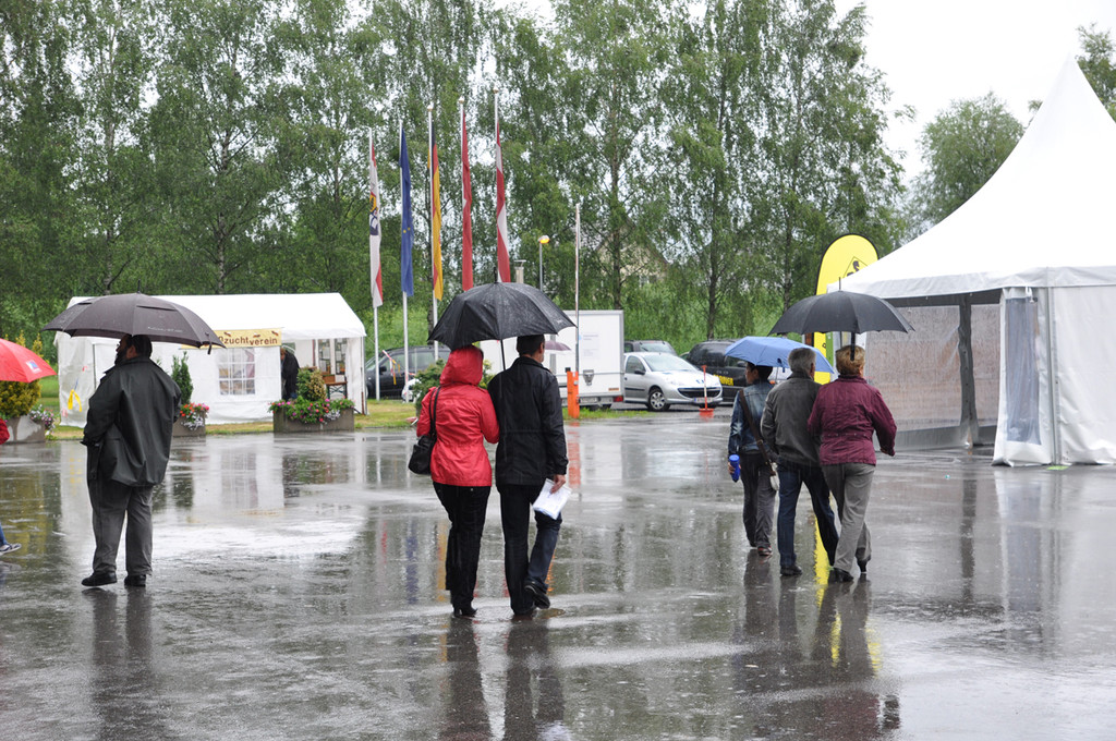 hardwelt19_jpg-1308442007