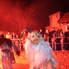 IMG_8654.jpg