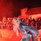 IMG_8653.jpg