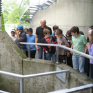 IMG_8019 _Large__JPG-1308472167