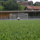 6_JPG-1308477634