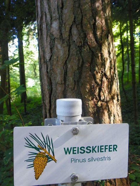 Bild 075_jpg-1308491837