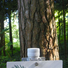 Bild 075_jpg-1308491837