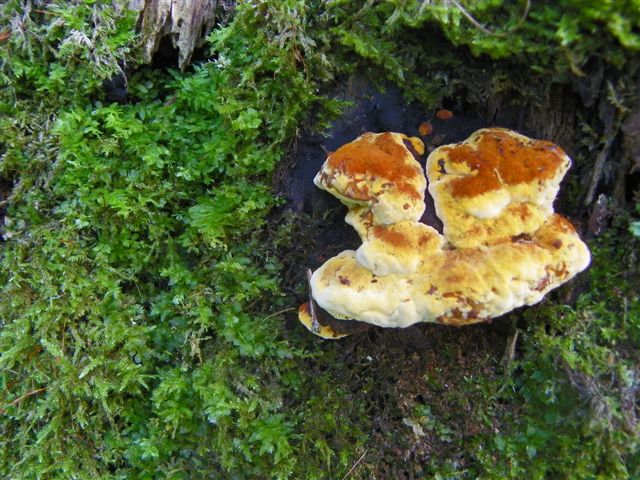 Bild 055_jpg-1308491848