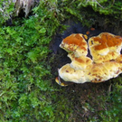 Bild 055_jpg-1308491848