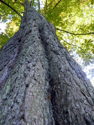 Bild 058_jpg-1308491851