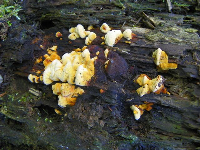 Bild 053_jpg-1308491847