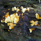 Bild 053_jpg-1308491847