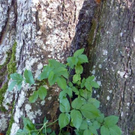 Bild 056_jpg-1308491850