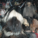 DSC_6076.jpg