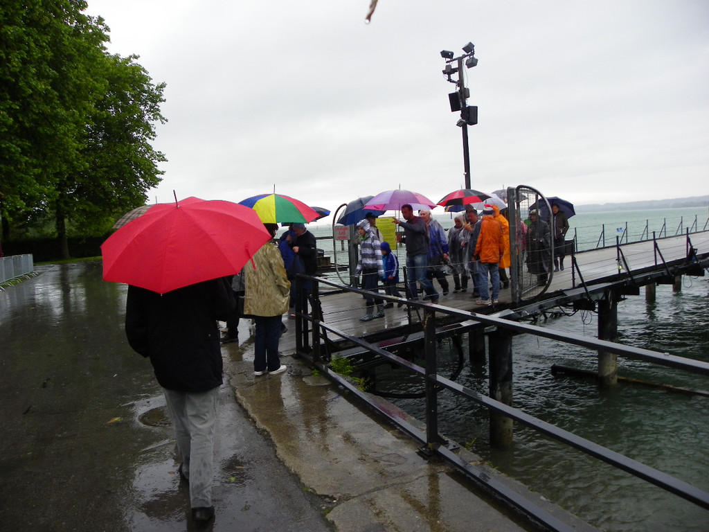 111_5486_JPG-1308521963