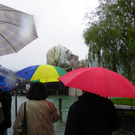 111_5490_JPG-1308521996