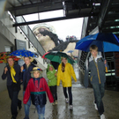 111_5504_JPG-1308522036