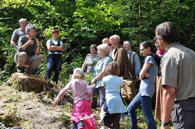 auf dem Weg in den Wald_jpg-1308523256