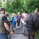 IMG_0134_jpg-1308523264