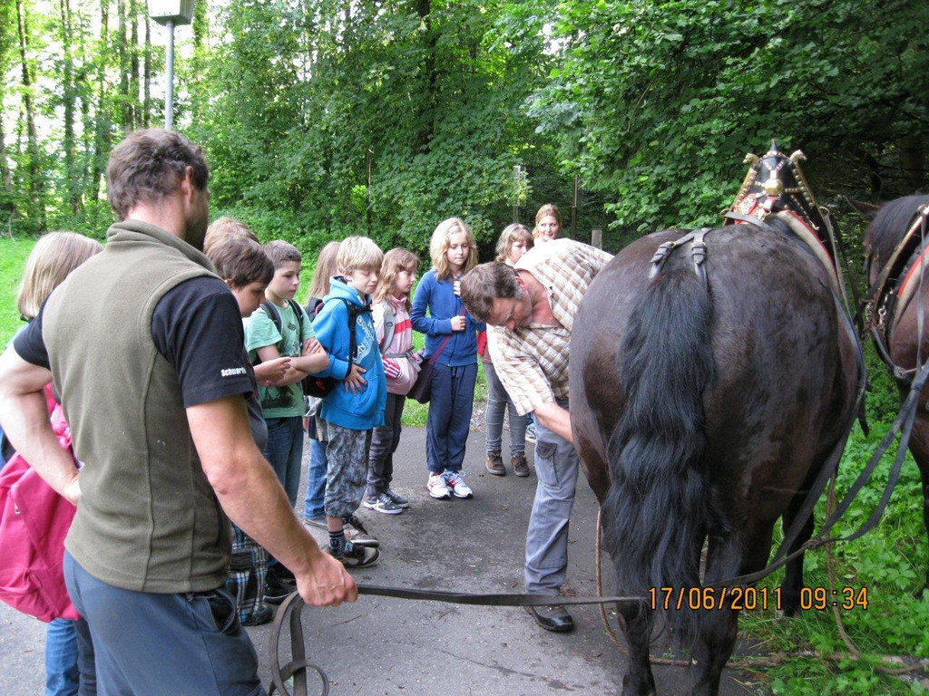 IMG_0134_jpg-1308523264