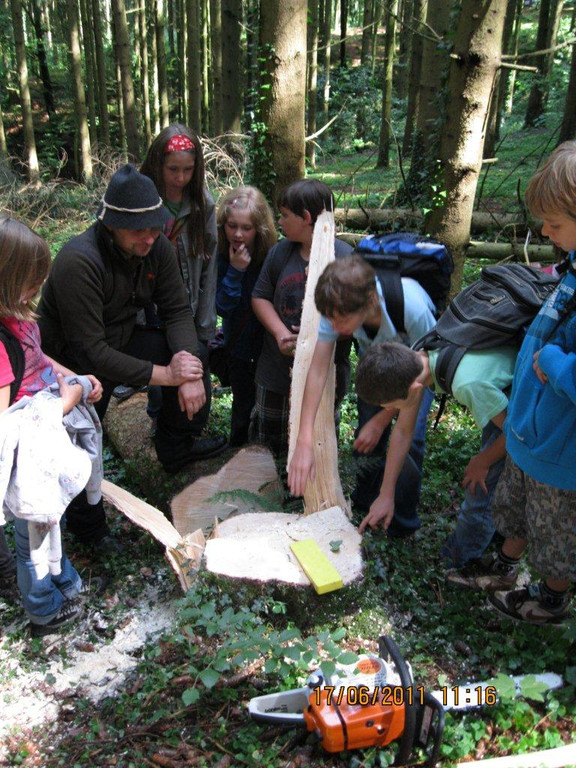 IMG_0149_jpg-1308523290