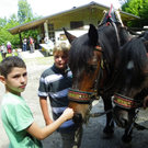 111_5105_JPG-1308523354