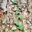 111_5190_JPG-1308523999