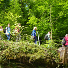 111_5086_JPG-1308524035