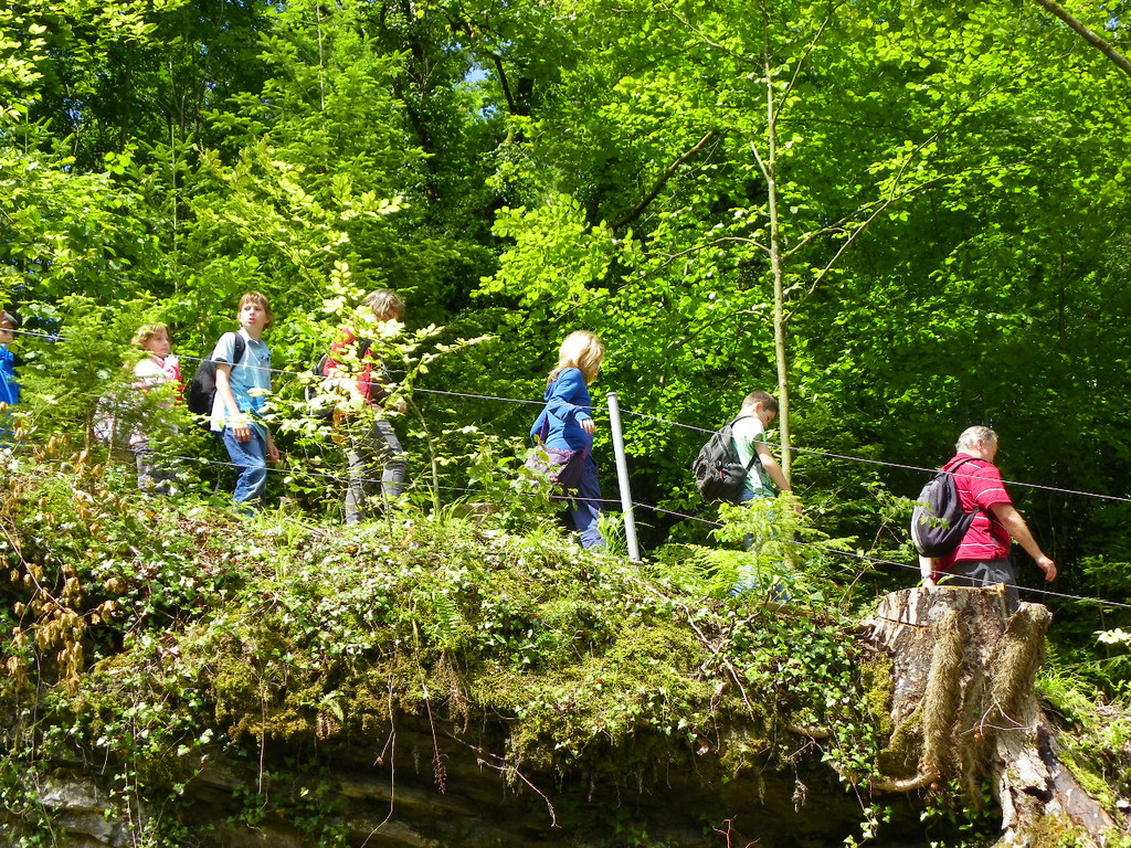 111_5086_JPG-1308524035