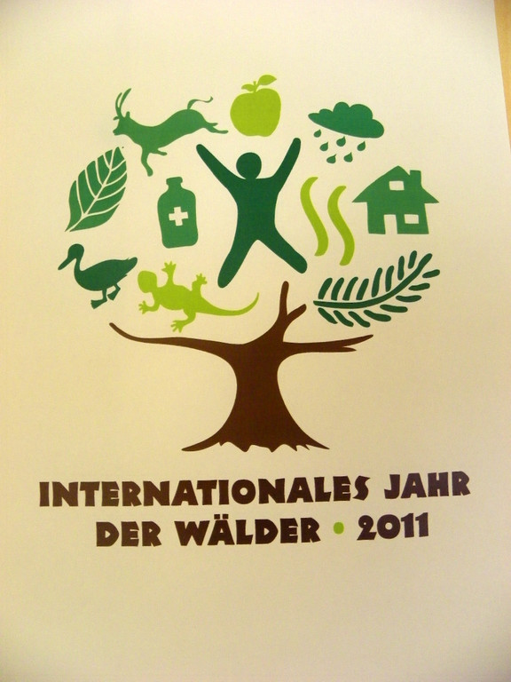 111_5186_JPG-1308524282