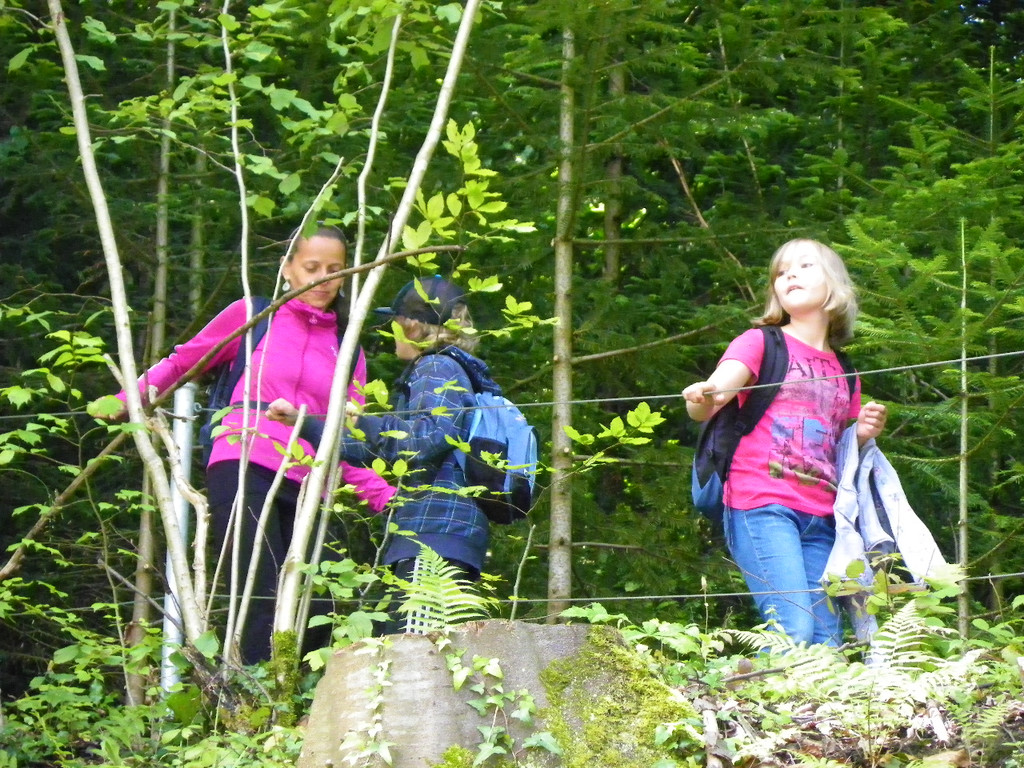 111_5087_JPG-1308524071