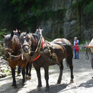 111_5097_JPG-1308524127