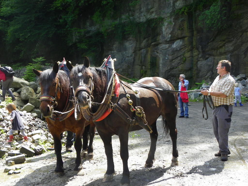 111_5097_JPG-1308524127