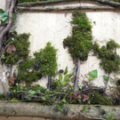 111_5178_JPG-1308524226