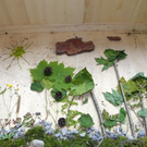 111_5180_JPG-1308524237