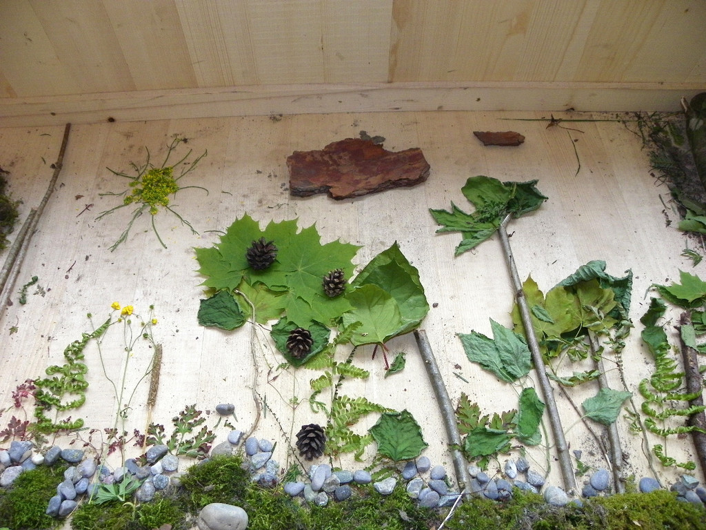 111_5180_JPG-1308524237