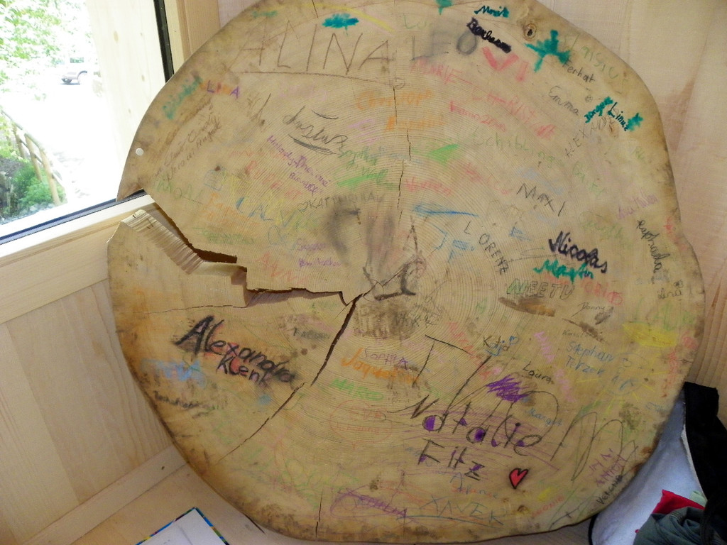 111_5181_JPG-1308524247