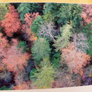 111_5185_JPG-1308524270