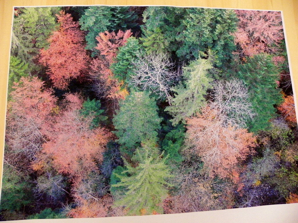 111_5185_JPG-1308524270