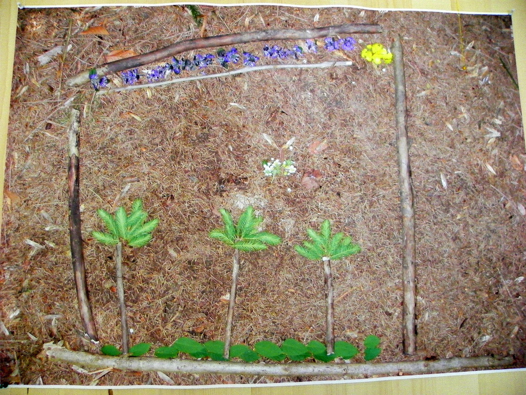 111_5187_JPG-1308524295