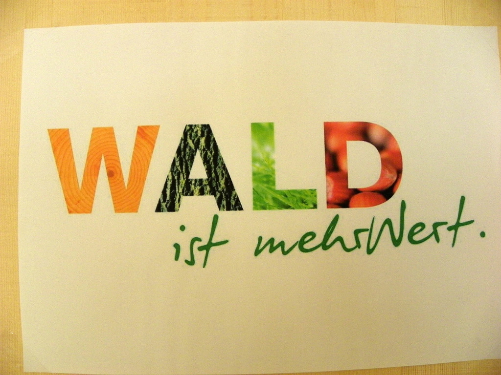 111_5188_JPG-1308524307