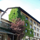 Bonetti 8_JPG-1308530709
