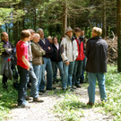 08Agrar_Laubholz_Gruppe_jpg-1308571233