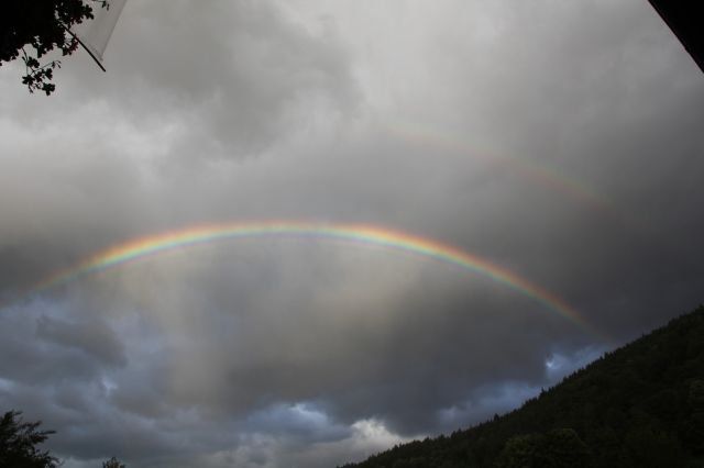 normal_19062011regenbrlaktivnews__16_.JPG