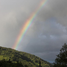 normal_19062011regenbrlaktivnews__26_.JPG