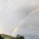 normal_19062011regenbrlaktivnews__27_.JPG