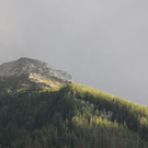 normal_19062011regenbrlaktivnews__30_.JPG