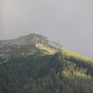 normal_19062011regenbrlaktivnews__31_.JPG