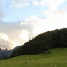 normal_19062011regenbrlaktivnews__42_.JPG